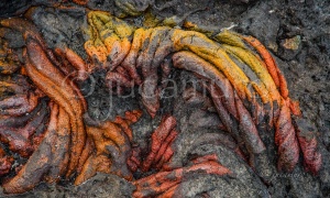 Lava solidificada en Isla Bartolomé. Islas Galapagos. Ecuador.