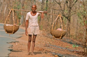 Caminante indio. Madhya Pradesh. India.