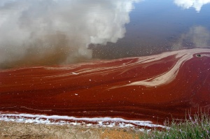 Formas y colores en una balsa de desecación de las salinas. Paraje Natural Marismas del Odiel. Huelva. España.