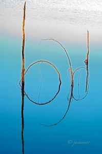 Ramas y su reflejo en un pantano. Edición libre. Riotinto. Huelva. España.