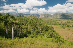 Viñales National Park. Pinar del Rio. Cuba.