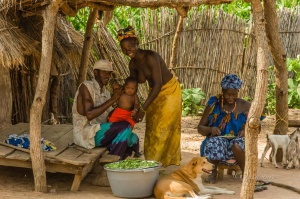 Familiar scene. Gambia. West Africa.