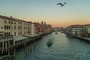 Grand Canal at dawn.