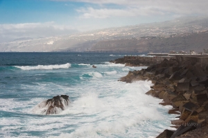 Isla de Tenerife. Islas Canarias. España.