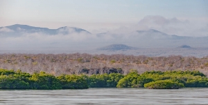 Seymur Island. Galapagos Islands. Ecuador.