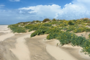 Punta del Moral beach. Ayamonte. Andalusia. Spain.