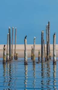 Walvis Bay. Namibia.