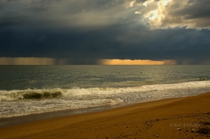 Espigón beach. Marismas del Odiel Natural Park. Huelva. Andalusia. Spain.