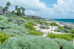 Parque Nacional de Gunahacabibes. Mar Caribe. Cuba.