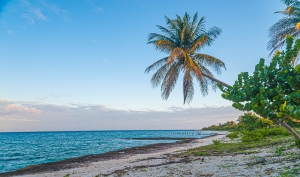 Parque Nacional de Gunahacabibes. Mar Caribe. Cuba.