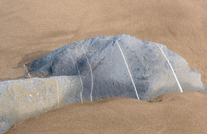 Veins in the rocks of the boardwalk. Cinnamon Island. Ayamonte. Huelva. Andalusia. Spain.