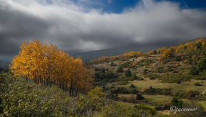 Cantalojas. Guadalajara.