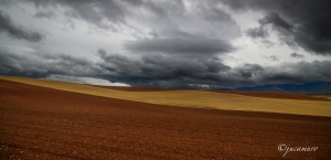 Paisajes castellanos.