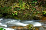 Otoño en el Parque Natural de Redes. Asturias. España.
