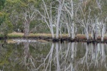 Duck Lagoon. Kangaroo island. Australia.