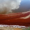 Shapes and colors on a raft drying of the salt. Odiel Marshes Nature Reserve. Huelva. Spain.