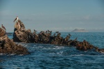 Caleta Tortuga Negra. Isla de Santa Cruz. Islas Galápagos. Ecuador.