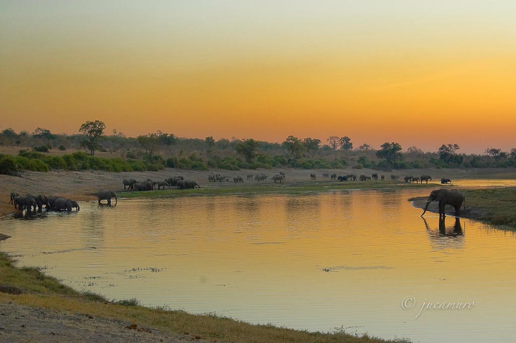 Sunset on the Chobe National Park. Botswana.