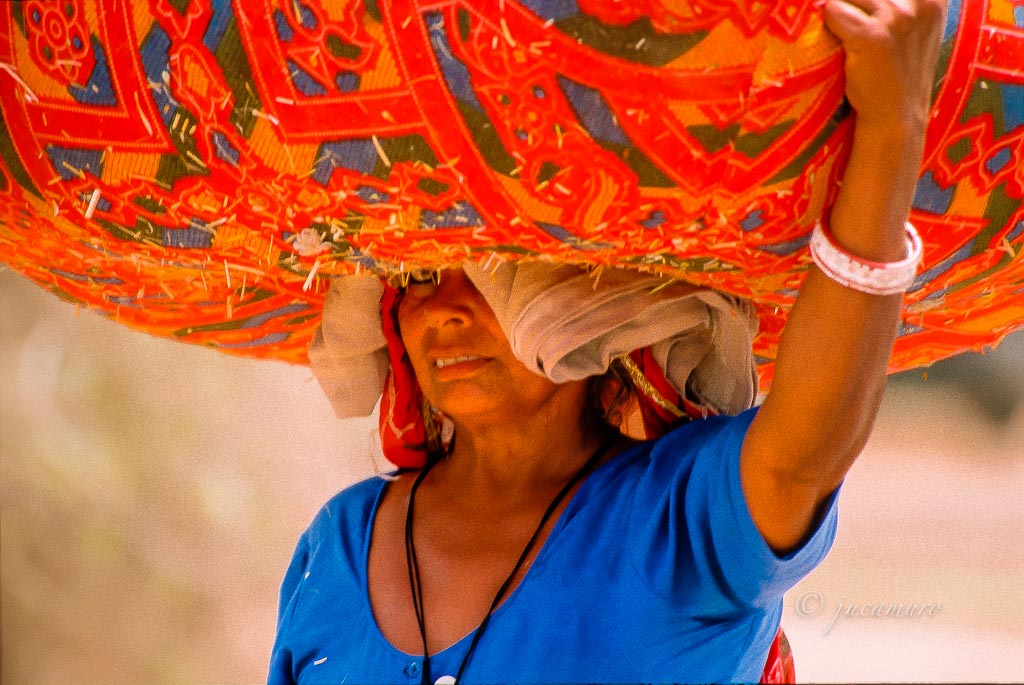 Look woman carrying straw bale. Mandawa. Rajasthan. India.