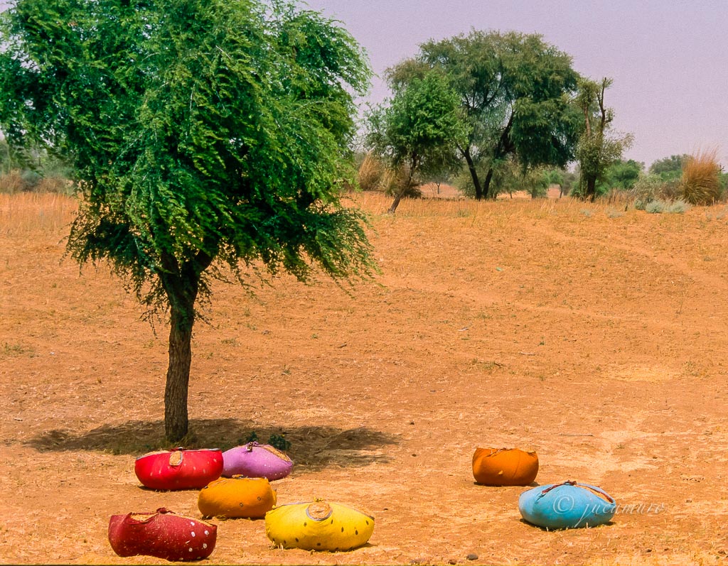 Escena rural. Fardos de paja empacados en pañuelos típicos. Rajhastan. India.