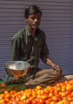 Seller of tomatoes. Udaipur market. Rajasthan India.