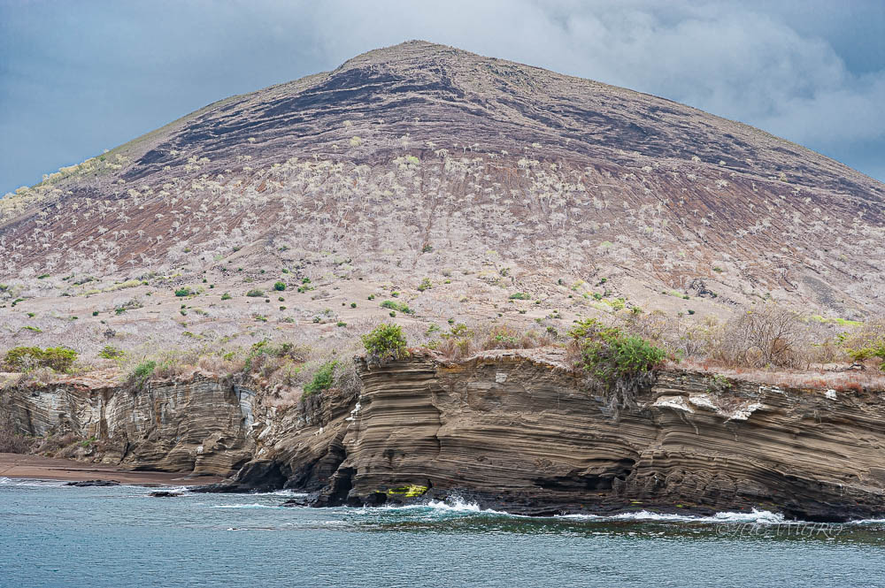 Cono volcánico. Isla La Rábida. Islas Galápagos. Ecuador. Sudamérica.