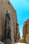 Luxor temple.