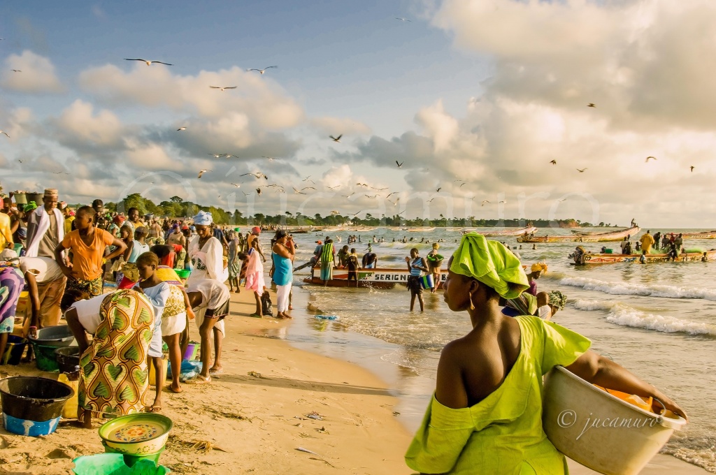 In the evening they return with fish. Tanji. Gambia.