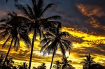 Atardecer dorado. Gambia.