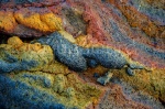 Lava solidificada en Isla Bartolomé. Islas Galapagos. Ecuador.