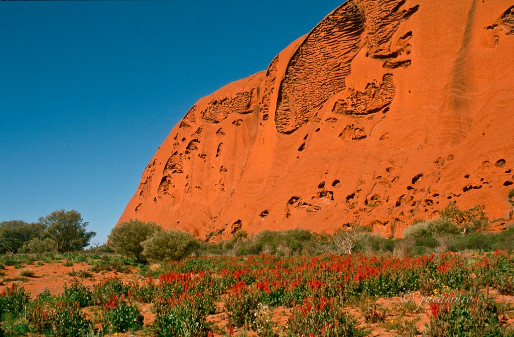 Ayers Rock. Uluru-Kata Tjuta National Park. Australia.