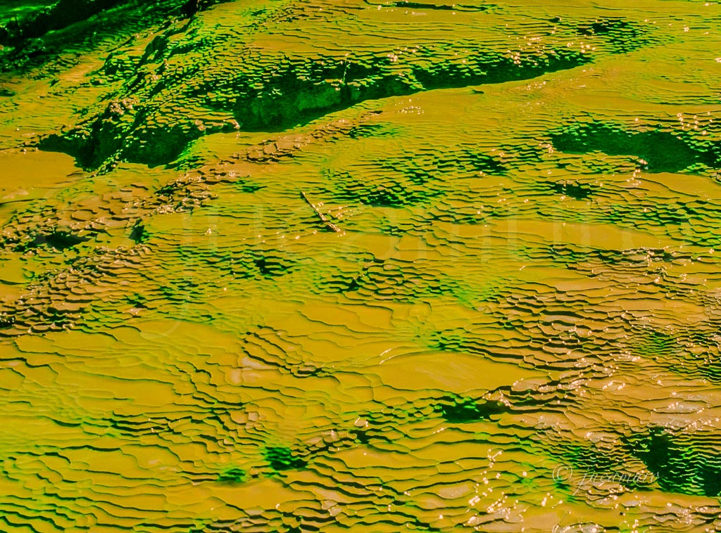 Regato verde. Zona termal Wai O'Tapu. Waikato. Isla del Norte. Nueva Zelanda.