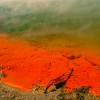 Champagne Pool. Zona termal de Wai-O-Tapu. Waikato. Isla Norte. Nueva Zelanda.