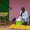 Vendedor de fruta. Gambia. Africa occidental.