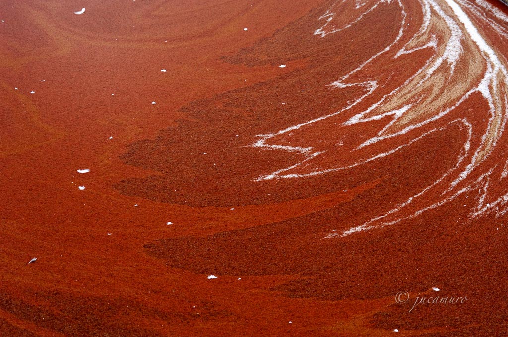 Formas y colores en una balsa de desecación de las salinas. Paraje Natural Marismas del Odiel. Huelva. España.