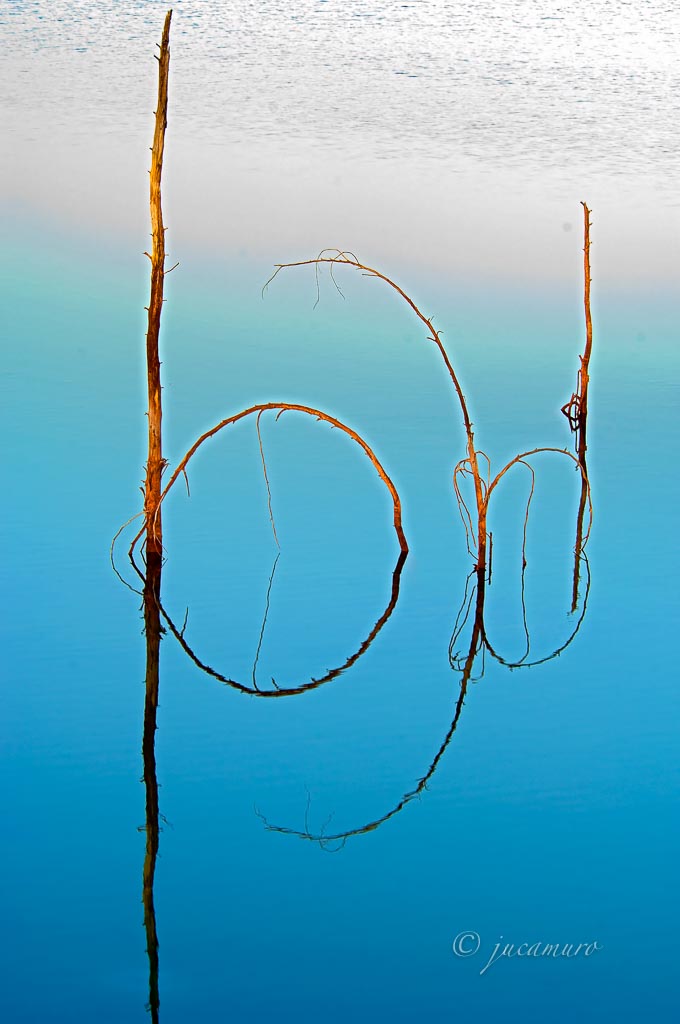 Ramas y su reflejo en un pantano. Edición libre. Riotinto. Huelva. España.