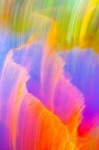 Galería: FANTASÍAS