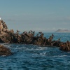 Caleta Tortuga Negra. Isla de Santa Cruz. Islas Galápagos. Ecuador.