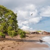 Costa de la Isla Floreana. Islas Galápagos. Ecuador