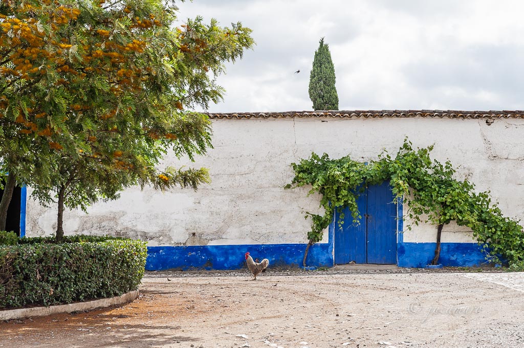 Cortijo típico del Alentejo. Portugal.