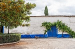 Cortijo típico del Alentejo. Portugal.
