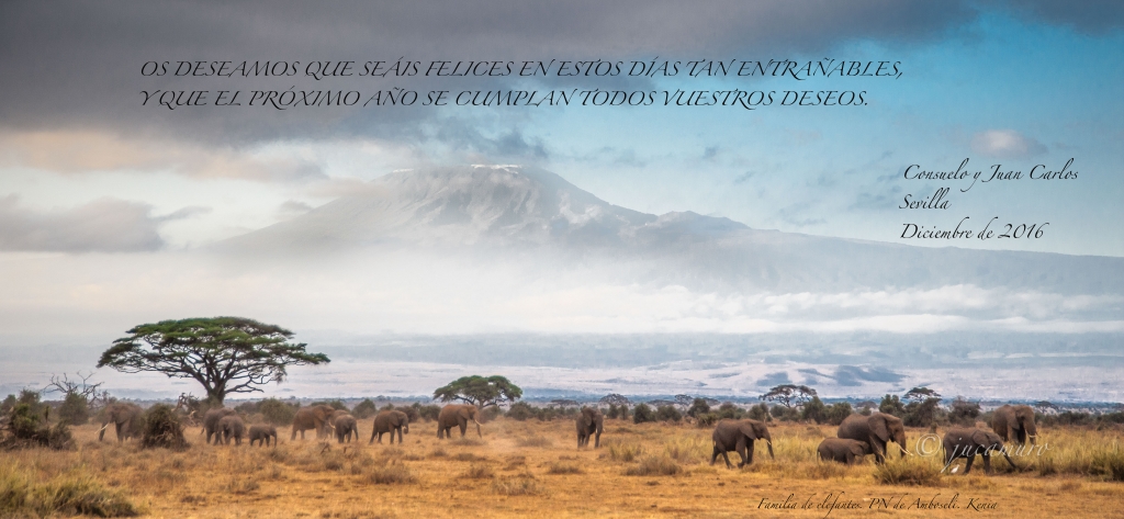 Familia de elefantes con el monte Kilimanjaro al fondo. PN Amboseli. Kenia.