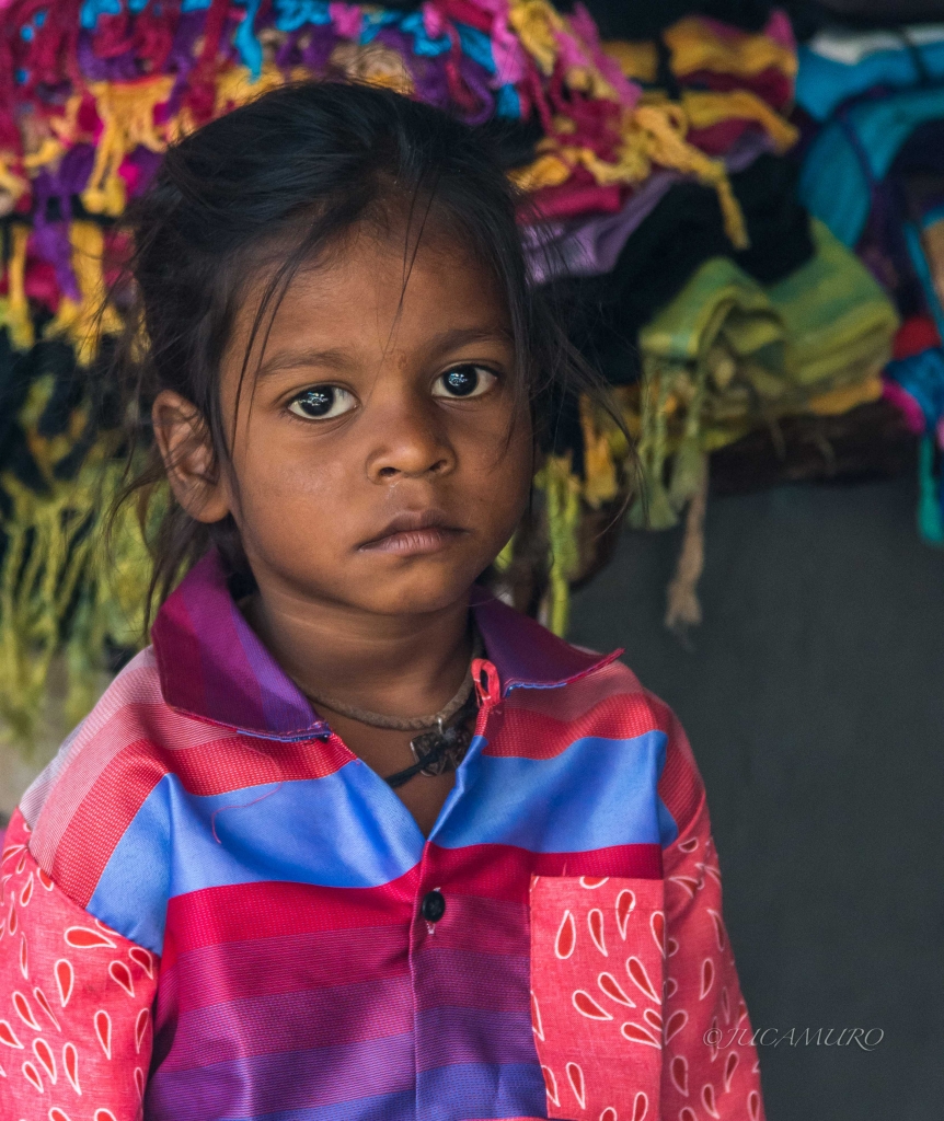 Mirada. Udaipur. Rajastán. India.