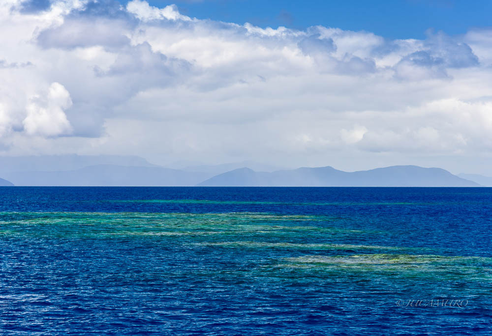 Coral barrier. Cairns. Queensland. Australia.
