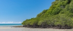 Cape Tribulation. Daintree National Park. Australia.