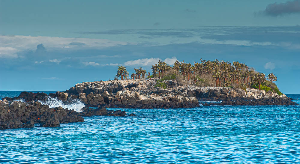 Island 