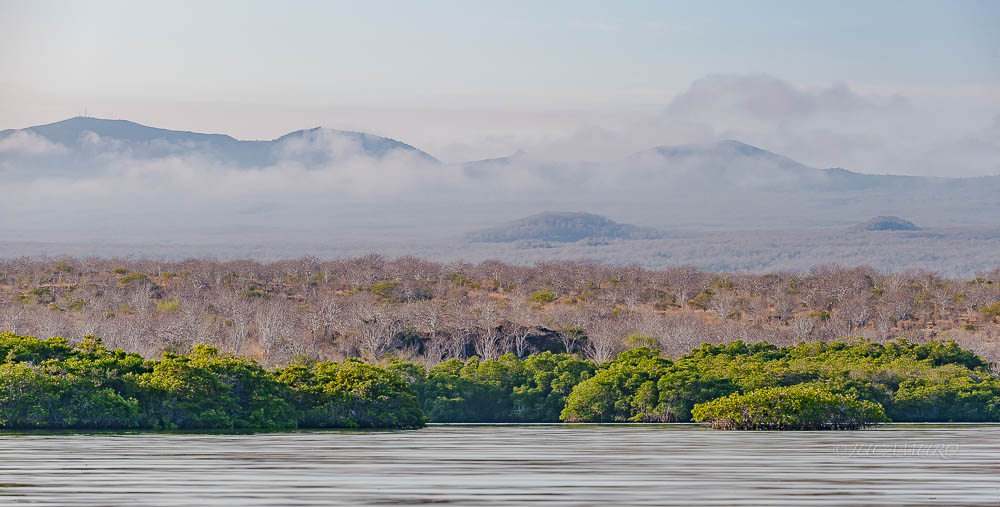 Seymur Island. Galapagos Islands. Ecuador.