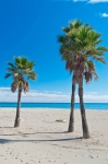 Playa de La Carihuela. Torremolinos. Málaga. Andalucía. España.