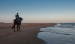 Galería: COSTAS Y PLAYAS DEL MUNDO