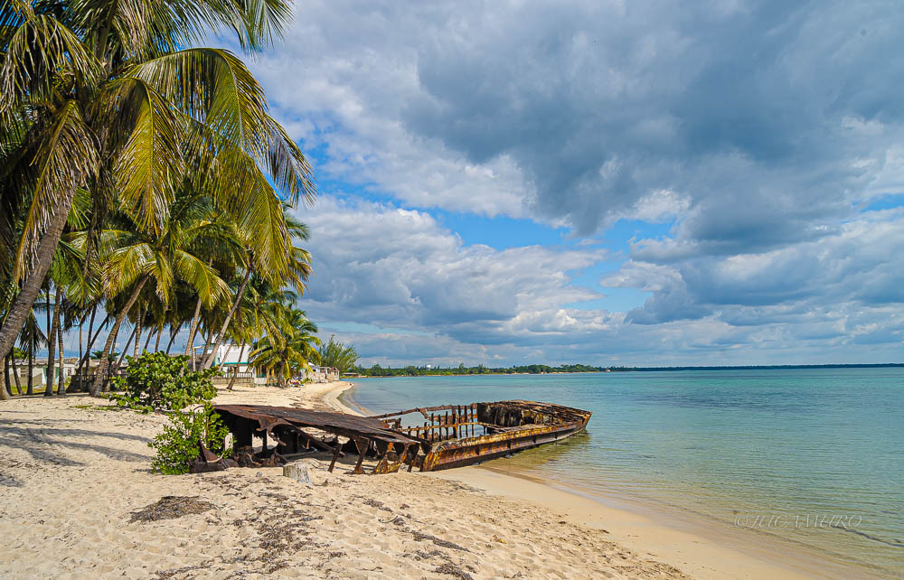 Ciénaga de Zapata National Park. Province of